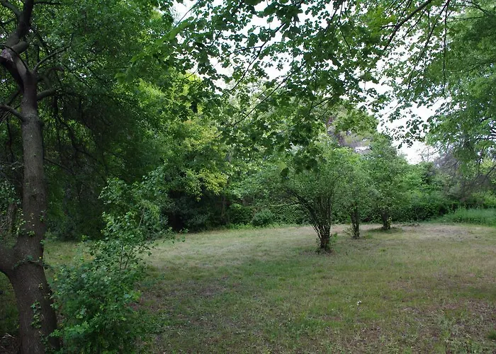 Pensión Chateau Le Vergel Authenac 4*