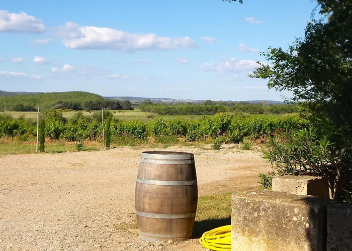 Pensión Chateau Le Vergel Authenac 4*