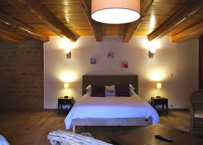 Chateau Le Vergel Authenac 4*