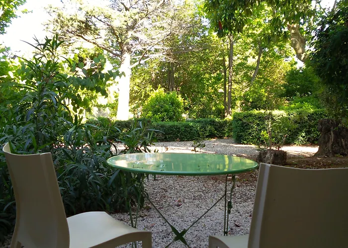 Chateau Le Vergel Authenac Pensión 4*